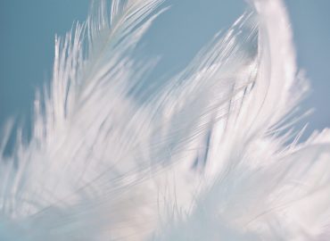 feathers-dreamcatcher